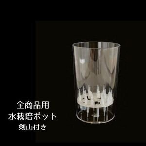 【1月発送】冬咲きチューリップ水耕栽培キット(チューリップ水耕栽培キット)_花・観葉植物  花 _【1257717】