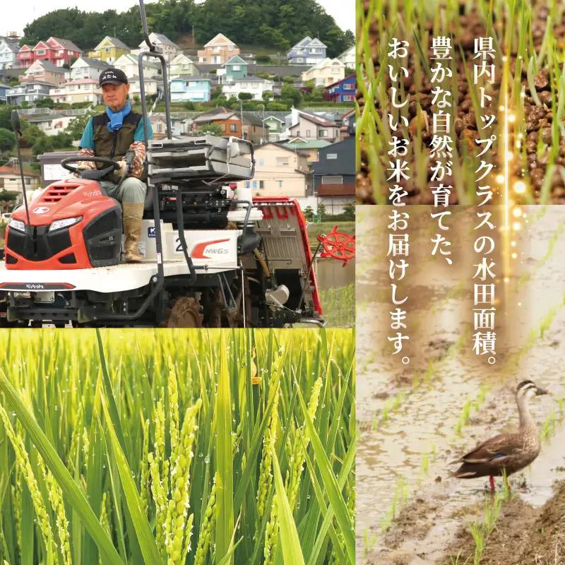 はるみ キューブ米 6個入り (1個 300g) 【1.8kg】