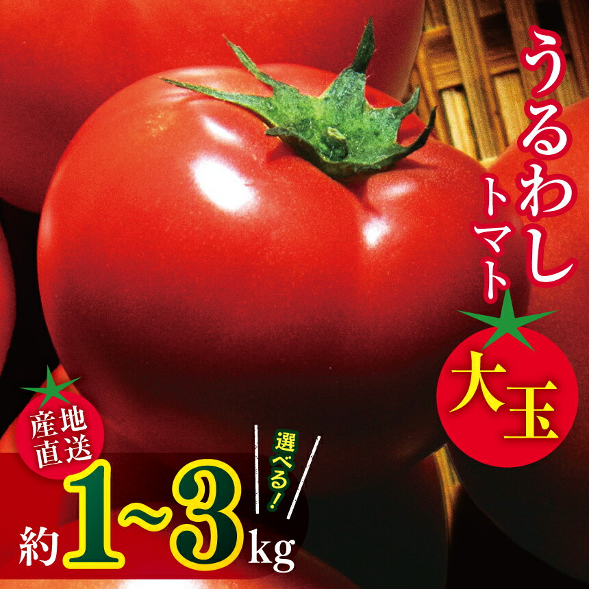 【ふるさと納税】選べる 田添農園 大玉トマト 約 1kg / 2kg / 3kg | 野菜 やさい 大玉 トマト とまと 1キロ 2キロ 3キロ 産地直送 熊本県 玉名市