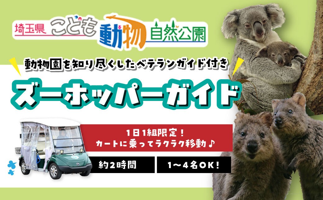 
                  埼玉県こども動物自然公園 ズーホッパーガイド利用券 | 動物園 裏側 見学 子ども こども 子供 家族 家族 ファミリー コアラ クオッカ カンガルー ペンギン 自然体験 幼児 小学生 家族で楽しむ 子供向け 季節 イベント アウトドア アクティビティ 学びの場 入場券 遊び場 日帰り 単身 1人 2人 3人 4人 埼玉県 東松山市
                