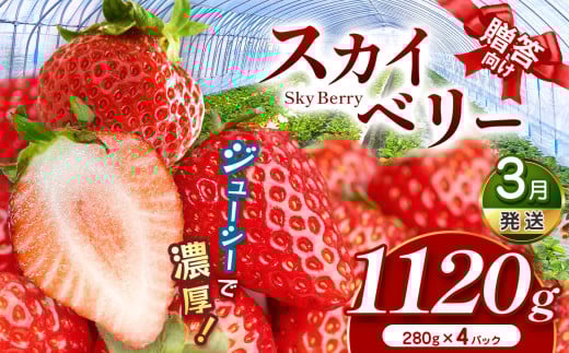 スカイベリー（贈答向け）【3月発送】280ｇ×4p | 贈答品 プレゼント 新鮮 完熟 いちご 旬 スカイベリー 苺 ストロベリー 高級 産地直送 大容量 人気 高評価 真岡市 栃木県 送料無料