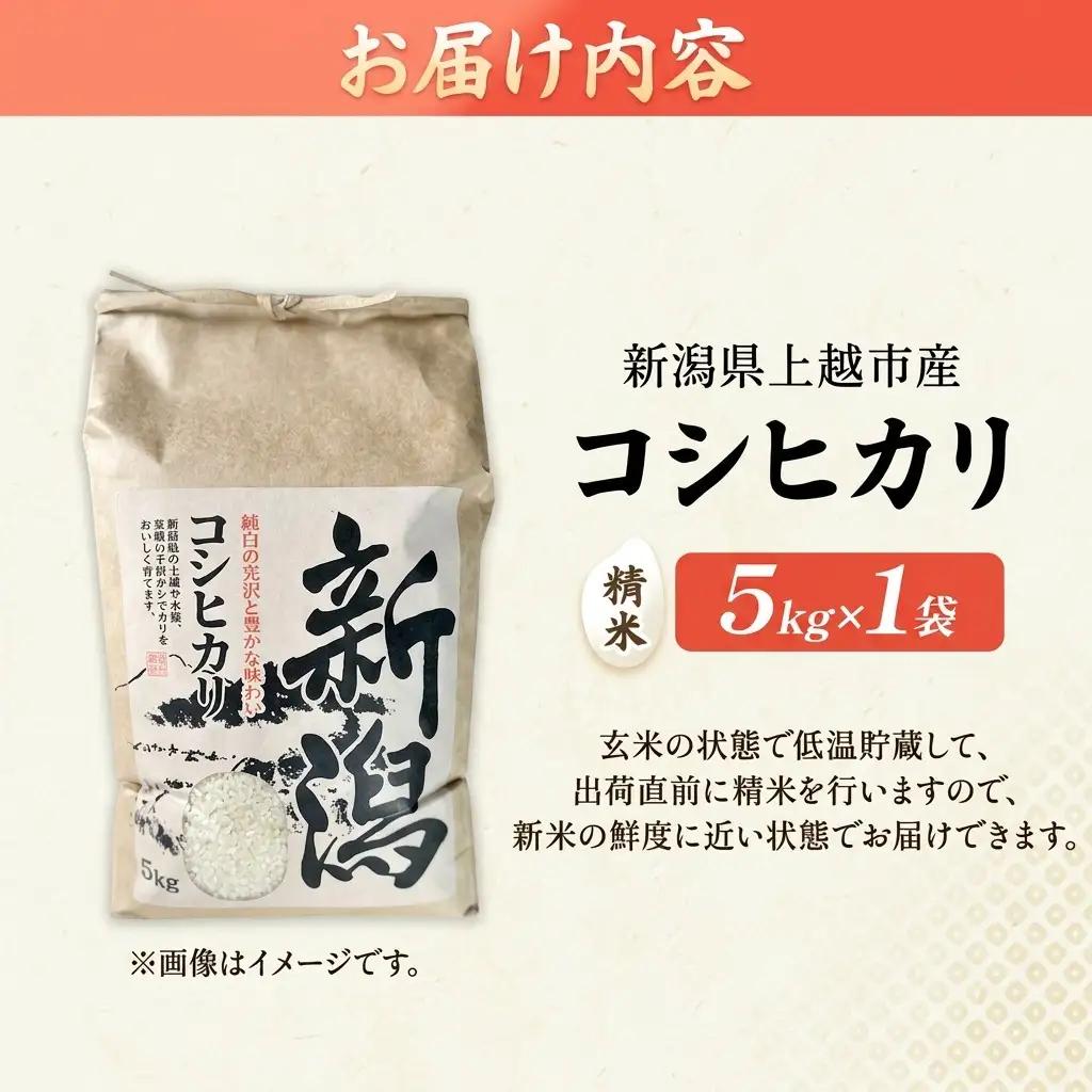 コシヒカリ 5㎏ 特別栽培米 新潟県 上越産 コシヒカリ