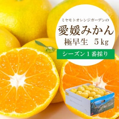 【2025年10月より順次発送】シーズン1番採り!八幡浜産 極早生みかん 5kg【C25−35】【1044407】
