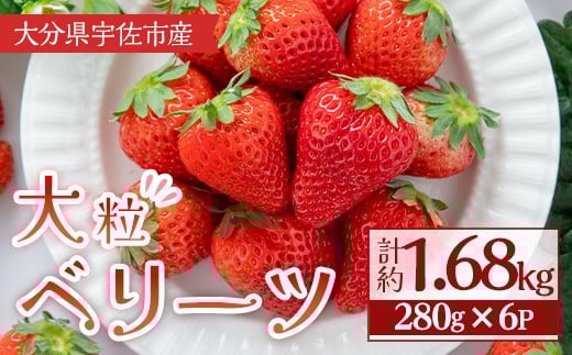 ＜2026年1月上旬～3月下旬の間に発送予定＞大粒いちご(計約1.68kg・280g×6P)苺 イチゴ フルーツ 果物 くだもの 果実 ベリーツ 大粒【117900600】【Farm U.S.A.】