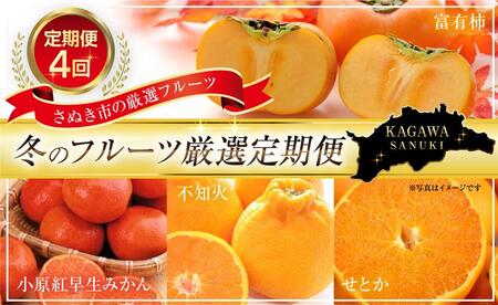 【定期便全4回】訳あり さぬき市冬のフルーツ厳選定期便【旬 人気 果物 くだもの 規格外 香川県 さぬき市】