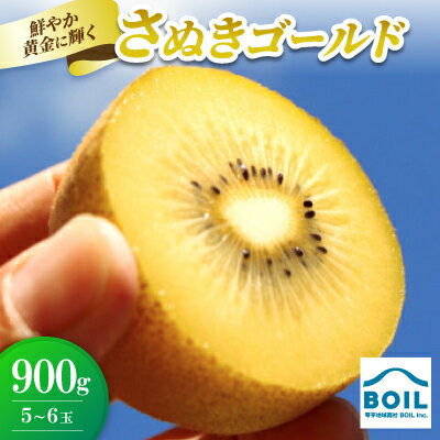 【ふるさと納税】キウイ　鮮やか黄金に輝くゴールドキウイ(さぬきゴールド)　900g(5～6玉)【配送不可地域：離島】【1678270】
