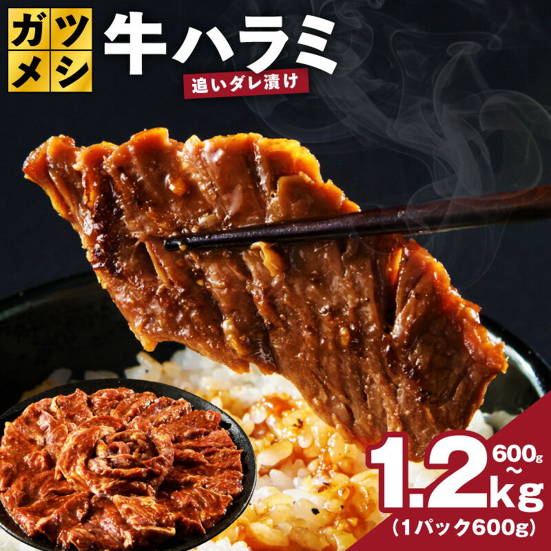 【ふるさと納税】ガツめし 牛ハラミ 追いダレ漬け 選べる 内容量 600g / 1.2kg 小分け 牛肉 ハラミ 焼肉 冷凍 味付け肉 BBQ 肉 晩ご飯 おかず 丼 晩酌 焼くだけ 簡単調理 ご飯のお供 訳あり サイズ不揃い 肉の泉佐野 大阪府 泉佐野市 送料無料