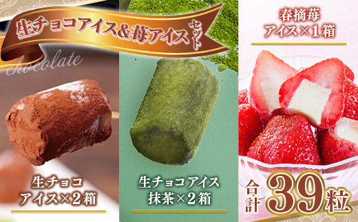 
生チョコアイス＆苺アイスセット 39粒 (生チョコアイス×16、生チョコアイス抹茶×16、春摘苺アイス×7)
