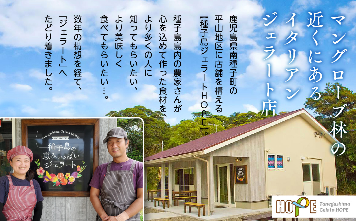 恵みジェラート8個セット【種子島ジェラートＨＯＰＥ】