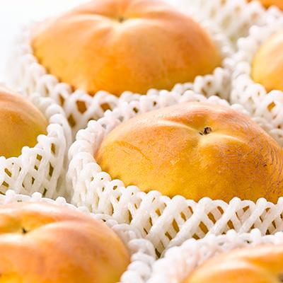 ふるさと納税 山梨市 やまなし内藤農園の太秋柿 2.3kg |  | 01