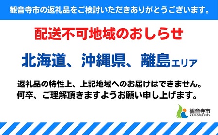 7号鉢 底面給水 シクラメン 1鉢（箱入り） 