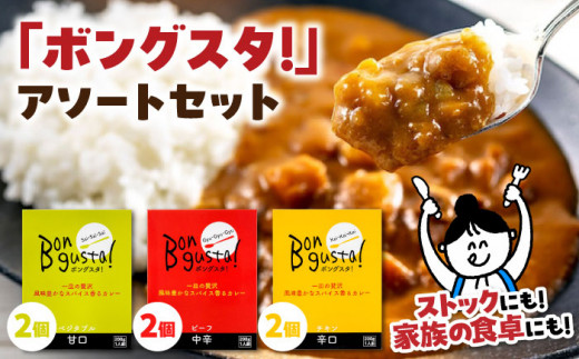 【年内発送】一皿の贅沢！料理長が作ったレトルトカレー「ボングスタ！」3種詰め合わせ6個セット 愛媛県大洲市/ラヴィーナ姫路 [AGAM001]カレーライス レトルト レトルトカレー カレーライス 非常食 保存食 レトルト食品 お正月 クリスマス