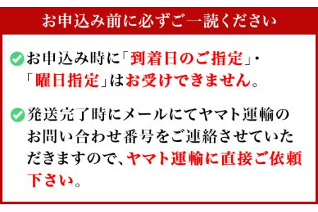 農園自慢の情熱野菜セット（11品）【野菜 野菜セット おすすめ 詰め合わせ 野菜詰め合わせ】