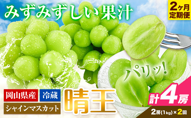 
            シャインマスカット 2ヶ月 定期便 岡山県産【2025年先行予約】 シャインマスカット 晴王 2房 約1kg《9月上旬-10月末頃出荷(土日祝除く)》 ハレノフルーツ マスカット 送料無料 岡山県 浅口市 フルーツ 果物 贈り物 ギフト 国産 岡山県産 くだもの【配送不可地域あり】 st-p
          