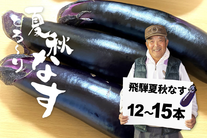 
【7月上旬～10月中旬発送】飛騨 夏秋なす 3.5kg (12-15本)茄子 ナス 大なす 産地直送 夏野菜 syun170
