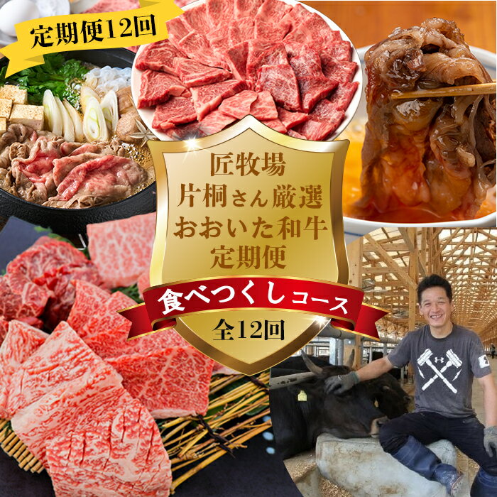 【ふるさと納税】＜12か月定期便＞匠牧場 片桐さん厳選【おおいた和牛食べつくしコース】 牛肉 和牛 定期便 12回 12ヶ月 おすすめ 国産 ＜102-800＞