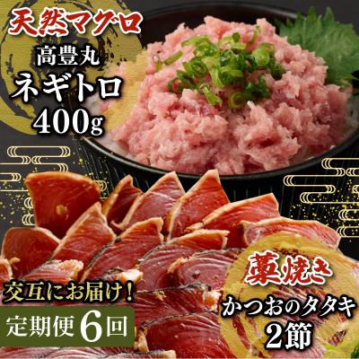 ふるさと納税 室戸市 【交互定期便 / 6ヶ月連続】 土佐流藁焼きかつおのたたき2節と高豊丸ネギトロ400g