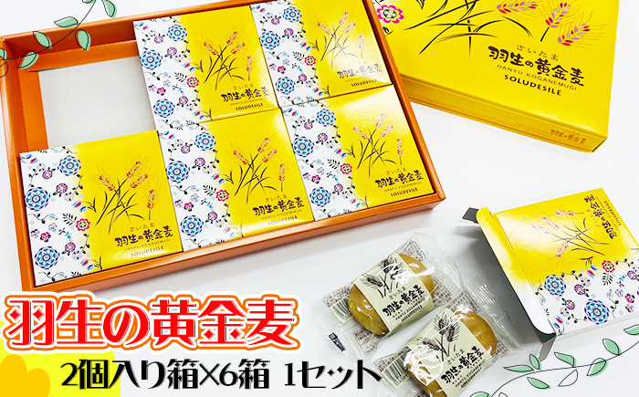 
スイーツ 焼き菓子 さいたま羽生の黄金麦 ２個入り箱×６箱 １セット スイーツ 洋菓子 食品 ギフト 手土産 誕生日 御歳暮 ギフト プレゼント 差し入れ お菓子
