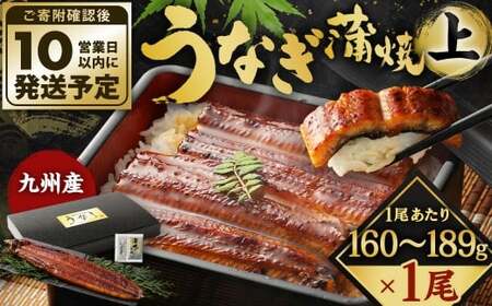 【10営業日発送】 九州産 うなぎ蒲焼 上 1尾 （160～189g） うなぎ蒲焼き うなぎ 鰻 ウナギ 蒲焼 蒲焼き 冷凍 福岡県 北九州市