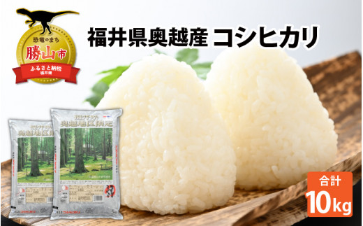 令和7年産 福井県産奥越コシヒカリ5kg ×2袋（計 10kg） [D-015018]