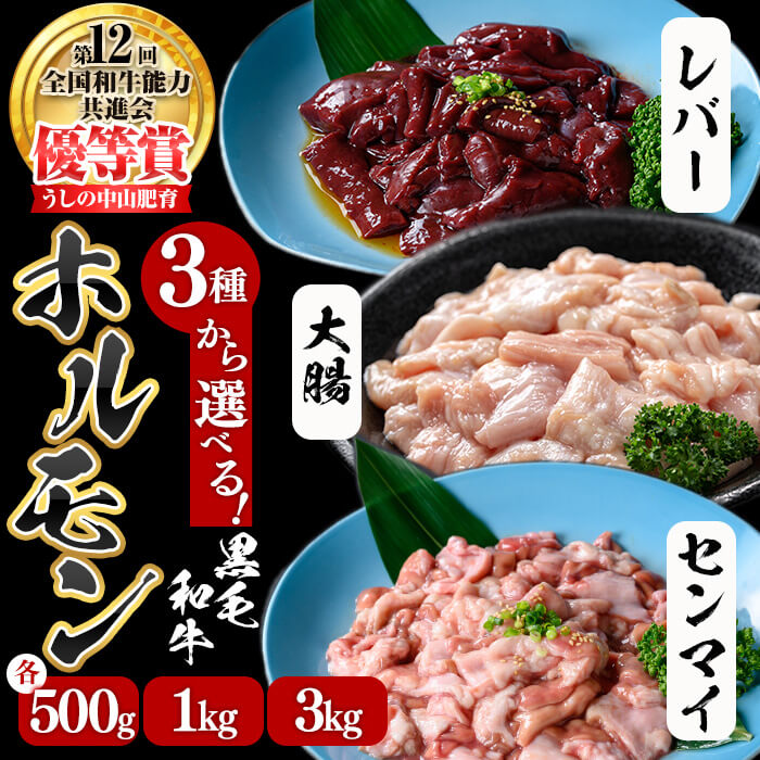 【ふるさと納税】【種類・内容量を選べる！】うしの中山 ホルモン(大腸)・赤センマイ(ギアラ)・レバー〈計500g～3kg（各500g×1～6P）〉黒毛和牛 和牛 肉 ホルモン 国産 九州産 鹿児島県産 焼肉 煮込み 鍋料理 もつ鍋 日本一【nixy CHUZAN】