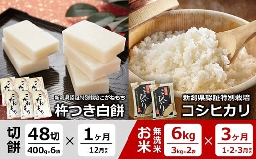 【12月～発送・4ヶ月定期便】杵つき白餅（2.4kg×1回発送）と真空パック 特別栽培米 コシヒカリ 無洗米（6kg×3回発送） [Y0579]