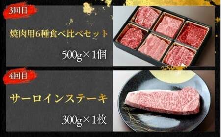 【4回定期便C】牛肉 美熊野牛 牛肉定期便【okad-tkb0021】