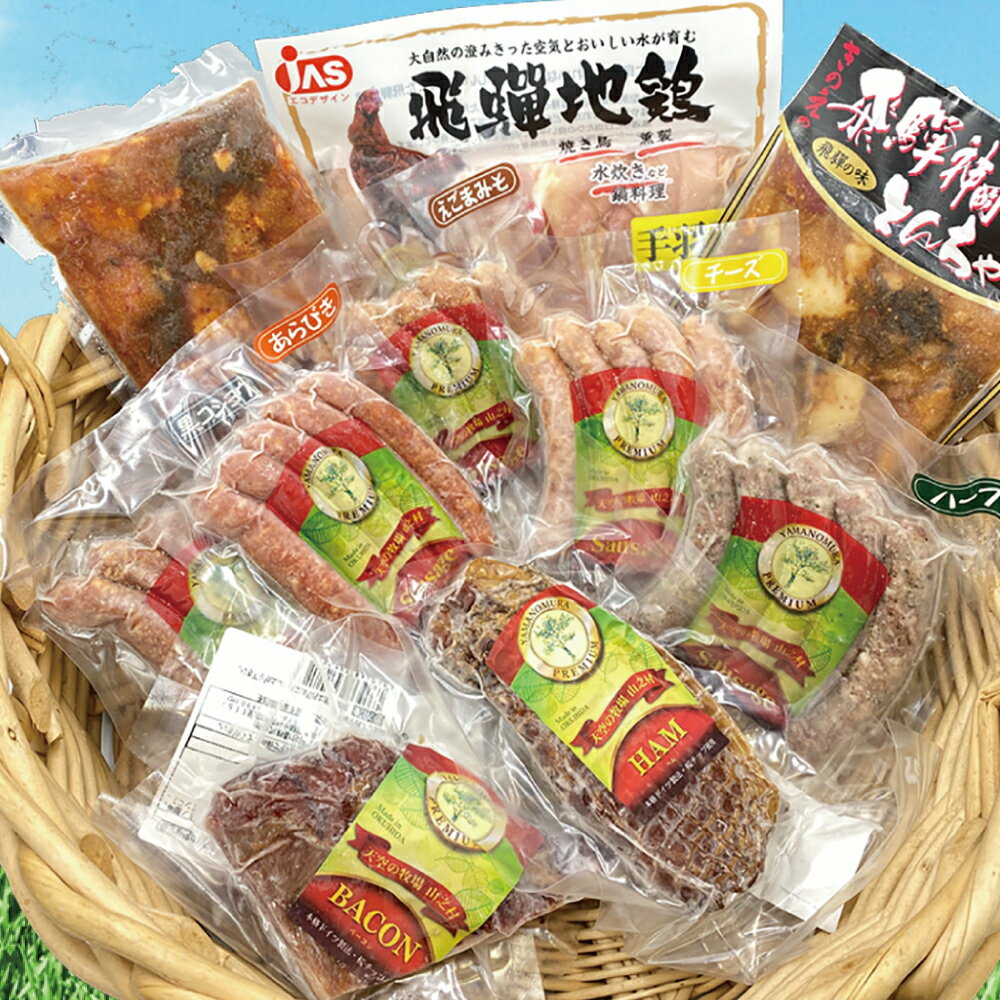 【ふるさと納税】おうちで飛騨のお肉堪能10点盛りセット 　肉　詰め合わせとんちゃん ベーコン ロースハム ソーセージ 飛騨地鶏 山之村牧場 希夢千家けいちゃん きのえ 神岡 飛騨[Q074xpi]