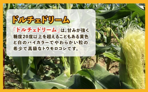 （生産者直送）玉手農場産とうもろこし「ドルチェドリーム」3本