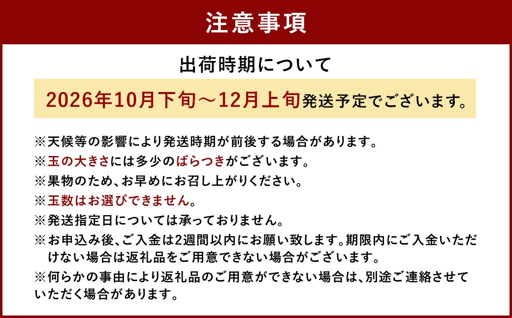 福岡県産 ブランドキウイ 甘うぃ 約1.5kg （12-15玉）