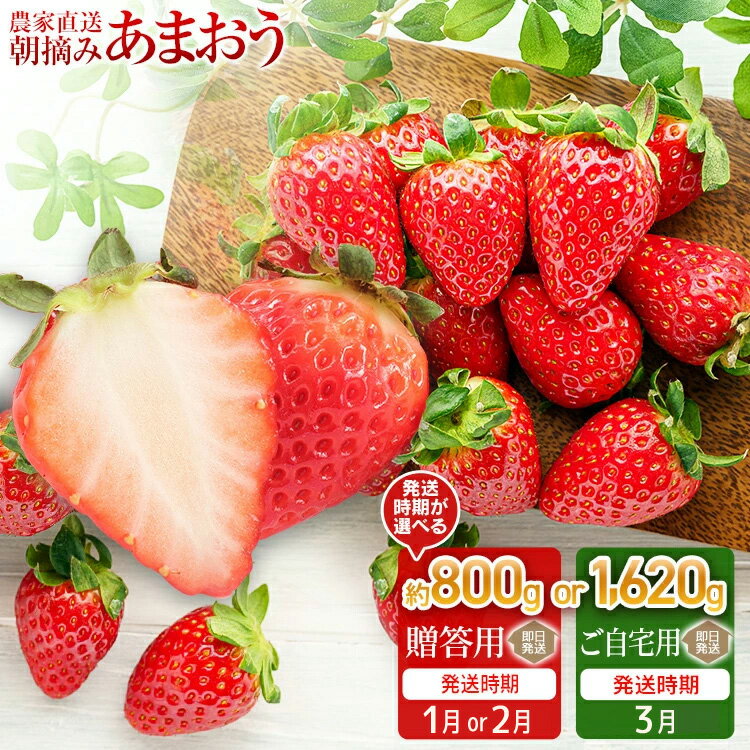 【ふるさと納税】《先行予約》いちご イチゴ 苺 あまおう 800g 1620g 選べる朝摘みあまおう 約800g(約400g×2パック)【2027年1月or2月中順次発送予定】or約1620g(約270g×6パック) 【2027年3月中順次発送予定】 大木町産 池上農園 BD-S0001 BD01-1 BD01-2 BD05