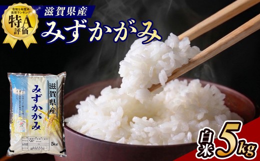 【令和7年産】近江米みずかがみ白米5kg