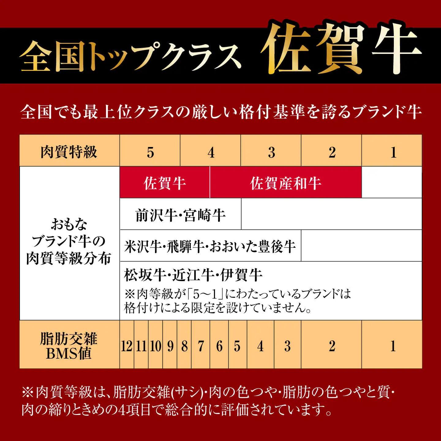 【12回定期便】A4 A5等級 佐賀牛 切り落とし 670g /焼肉どすこい[UCC028]