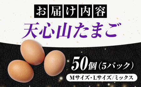 天心山 たまご 50個（10個入り×5パック） 卵 たまご 高級 食品 たまごかけご飯 卵かけご飯 卵焼き 生卵 濃厚 ケーキ お菓子 づくり ランキング 上位 人気 おすすめ 　広島県福山市/天心山