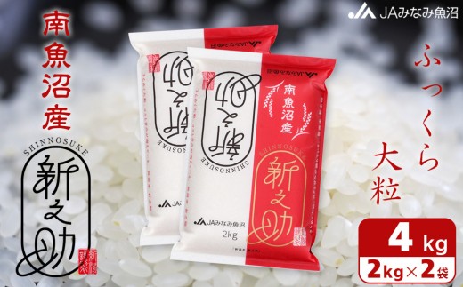
                  【令和7年産】南魚沼産新之助 精米 2kg×2袋 ≪精米HACCP認定工場 高品質精米 大粒 もっちり 新之助 精米 銘柄米 ブランド米 南魚沼産 新潟米 高評価 甘み 国産米 産地米 家庭米 ご飯≫
                