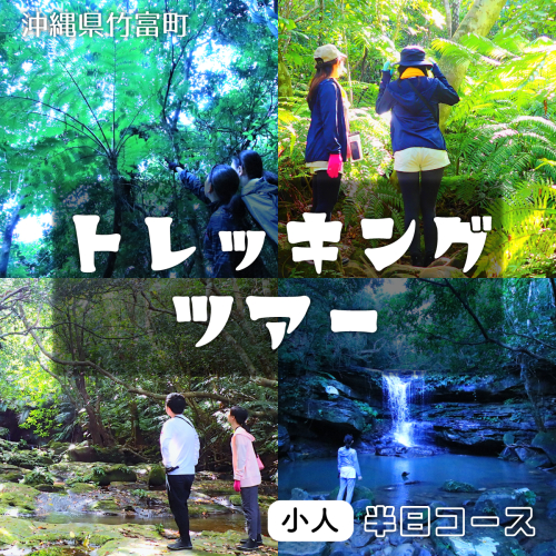 西表島 半日森林浴滝トレッキングツアー【体験可能期間:11月1日～4月30日】小人1名分