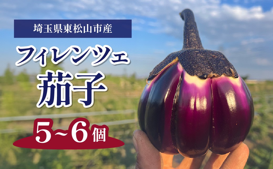 
            ＼期間限定 / 限定10セット／ フィレンツェ茄子 5～6個 | なす ナス 茄子 野菜 夏野菜 有機野菜 旬の野菜 セット ステーキ 地元農家 有機 自然 オーガニック 化学肥料 化学農薬 不使用 こだわり おすすめ オススメ ヘルシー 農業 若手農家 十色農園 埼玉県 東松山市
          