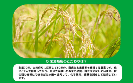 米 こしひかり 10kg × 6回 【 6か月 定期便 】( 令和7年産 ) 2025年10月上旬頃から順次発送予定 米澤商店 コシヒカリ 白米 精米 長野県 飯綱町 [1246]