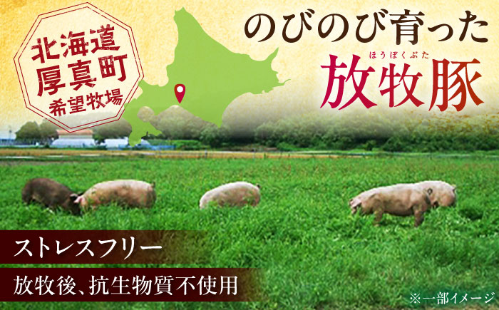 【全3回定期便】【結着剤・発色剤・保存料不使用】 放牧豚 ソーセージセット（ソーセージ5種）《厚真町》【ファーマーズファクトリー株式会社】 ソーセージ ウインナー チョリソー 粗挽き 冷凍配送 セット