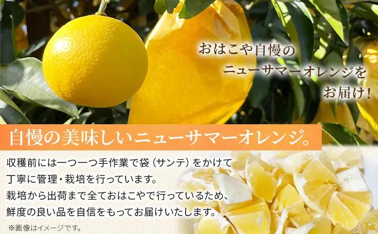 ＜おはこやがつくる ニューサマーオレンジ（日向夏） 約3kg（L～3Lサイズ）＞ 果物 フルーツ 柑橘 ミカン 蜜柑 日向夏 小夏 特産品 西宇和 愛媛県 西予市【常温】『2027年4月上旬～4月中旬