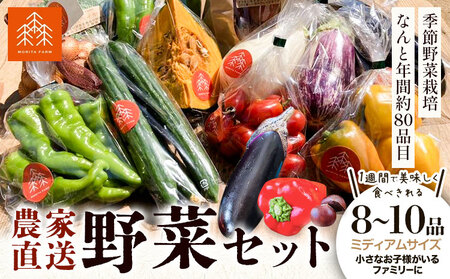 新鮮 野菜 セット ミディアムサイズ 8～10品 | 野菜セット