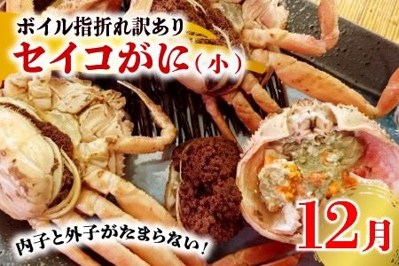 【先行予約】【年2回定期便】越前がに・せいこがに食べ比べコースB（12月・2月発送） [G-4354]