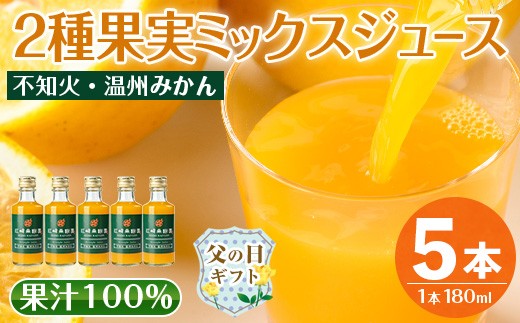 
                  i990-B-f 【父の日ギフト】2種果実ミックスジュース(180ml×5本) 飲料 ジュース みかん 蜜柑 果汁 100% 不知火 温州みかん 無着色 無香料 ストレートジュース 安心安全 父の日 プレゼント ギフト 贈答 【江崎果樹園】
                