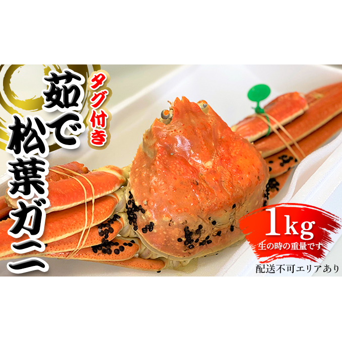 松葉ガニ 茹で タグ付き1kg up《2024年11月中旬?12月中旬、もしくは、2025年1月中旬以降以降順次発送》
