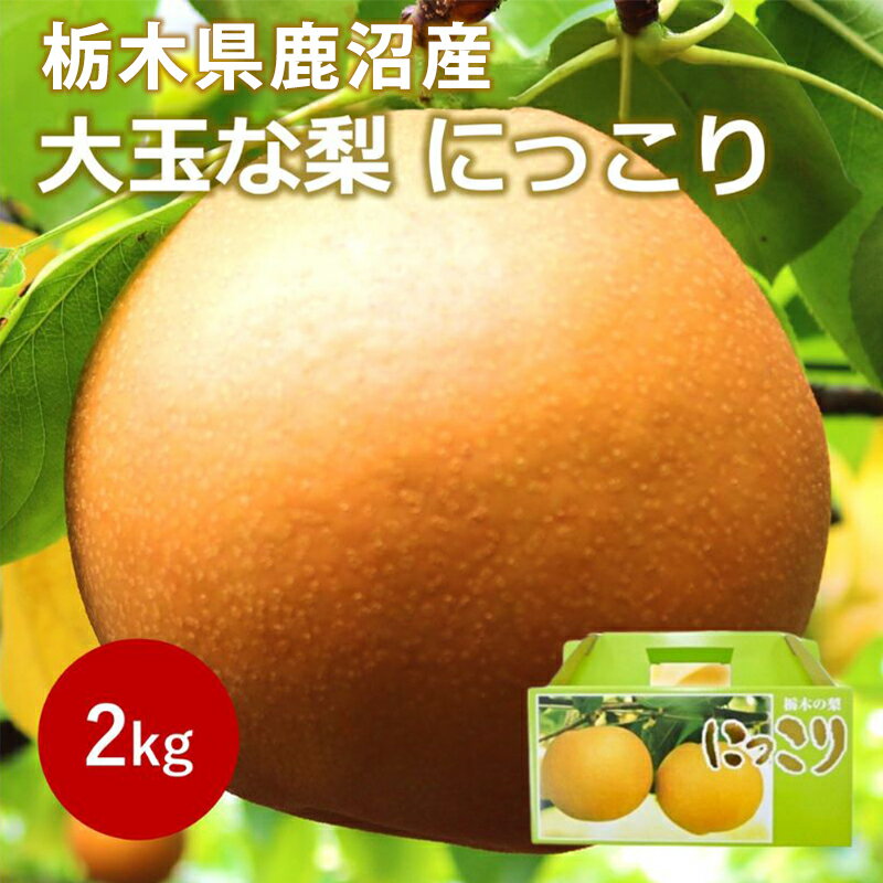 【ふるさと納税】【2026年栃木県鹿沼産】大玉な梨（にっこり） 約2kg ｜なし 和梨 果物 フルーツ デザート 先行予約 国産 栃木県 鹿沼市 ※2026年10月～発送