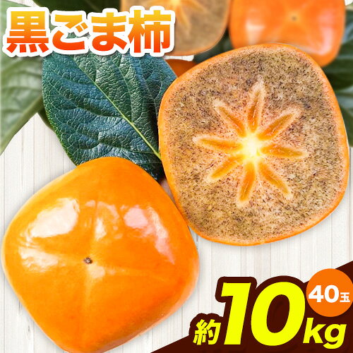 【ふるさと納税】黒ごま柿 約10kg(40玉) Cog-Lab《10月上旬-11月上旬頃出荷》 柿 かき カキ フルーツ 果物 スイーツ 送料無料