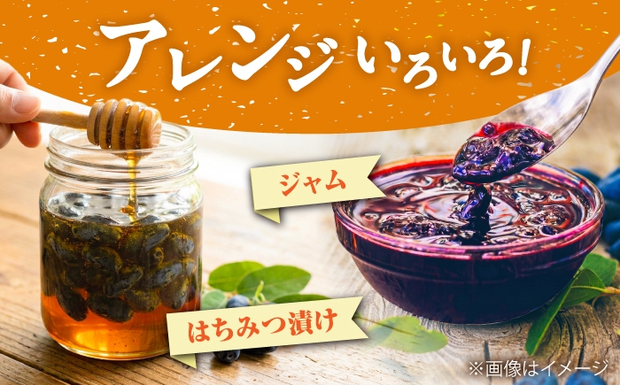 ハスカップ 果実 果物 フルーツ ジャム 冷凍 特産 特産品 農家直送 北海道