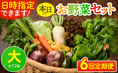 【６回定期便】日時指定OK！本日のお野菜セット （大サイズ/約12種） 4人以上用 / 新鮮野菜 定期便 産地直送 野菜定期便 季節のおまかせ定期便 野菜 野菜詰め合わせ 野菜セット 有機栽培 野菜 果物 きのこ類 サラダ 野菜 やさい 定期便 6ヵ月 送料無料 【オーガニックのまち 宮崎県綾町】