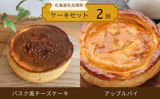 2種のケーキセット（バスク風チーズケーキ・アップルパイ） 【 ふるさと納税 人気 おすすめ ランキング 菓子 焼菓子 チーズケーキ バスク風 アップルパイ 甘い 美味しい 北海道 佐呂間町 送料無料 】 SRMJ020