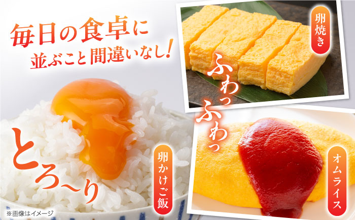 【全6回定期便】熊本県産 熊本そだち 30個入り ( 10個入り × 3パック ) 山都町 たまご 卵【蘇陽農場】 [YBE031]